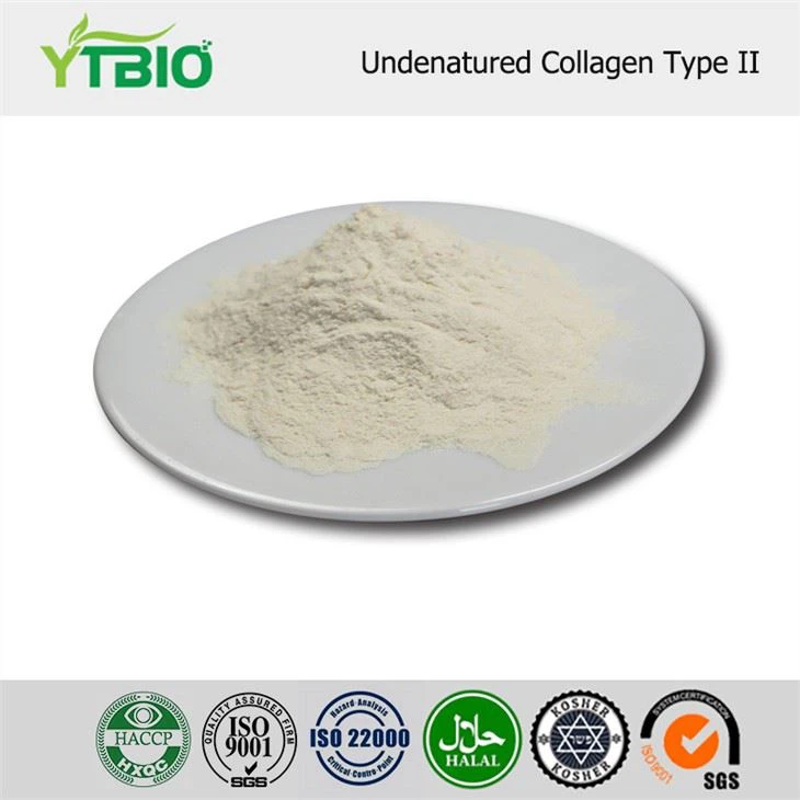 Collagen Neamhdhínádúraithe Cineál II